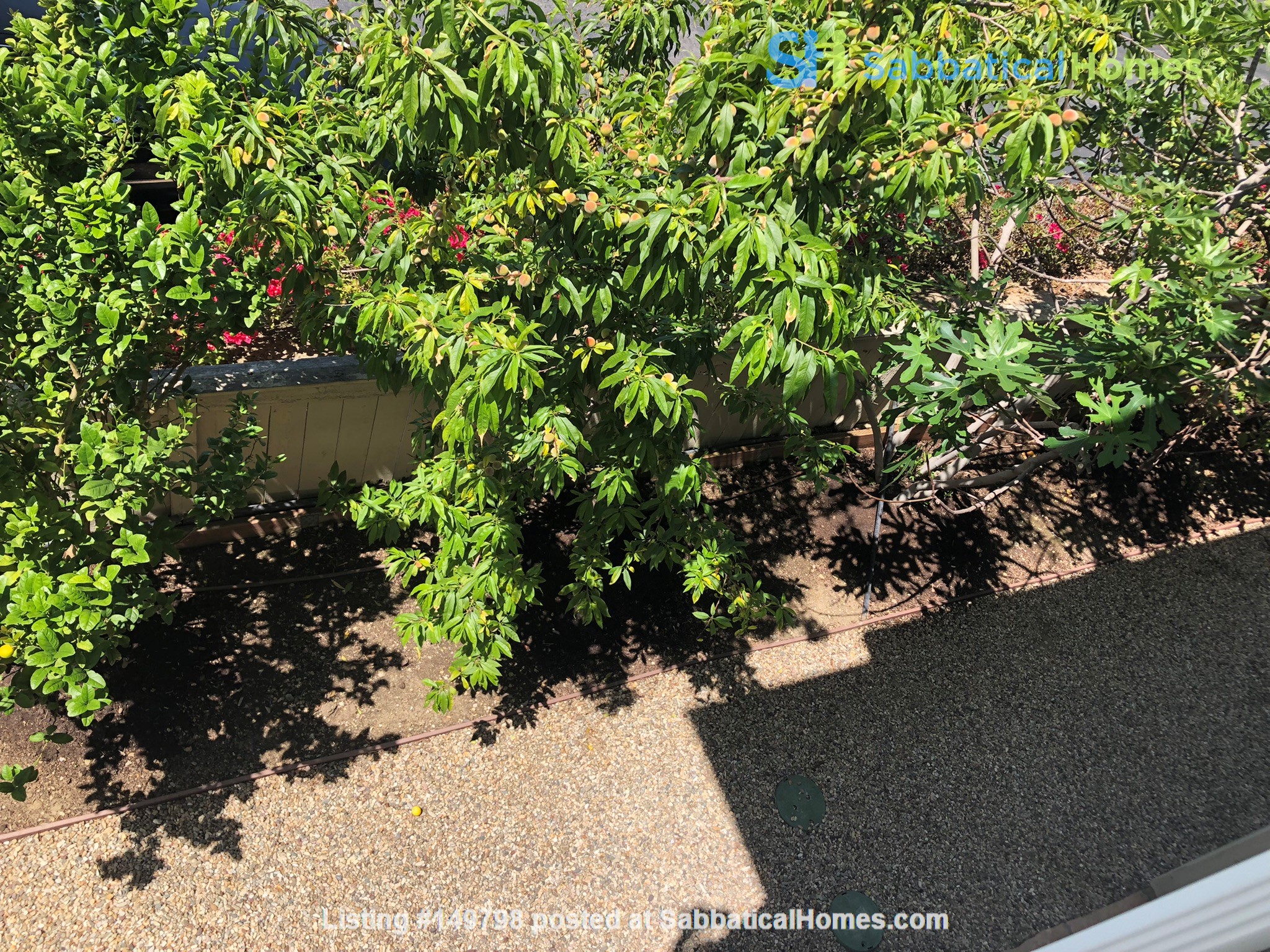 4 bedroom House for rent in Irvine listing 149798