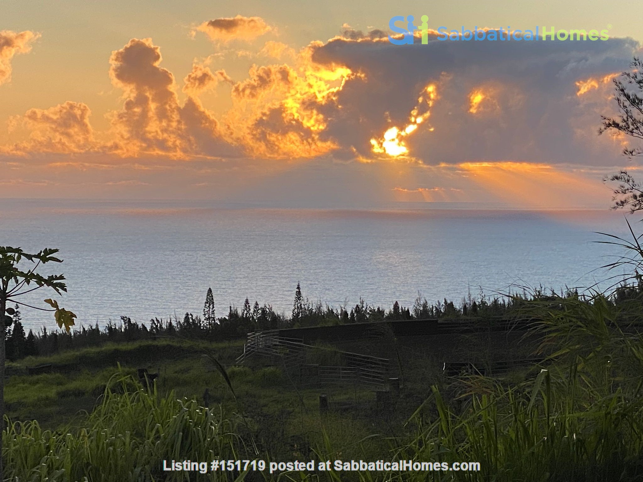 3 bedroom House for rent in Honokaa listing 151719