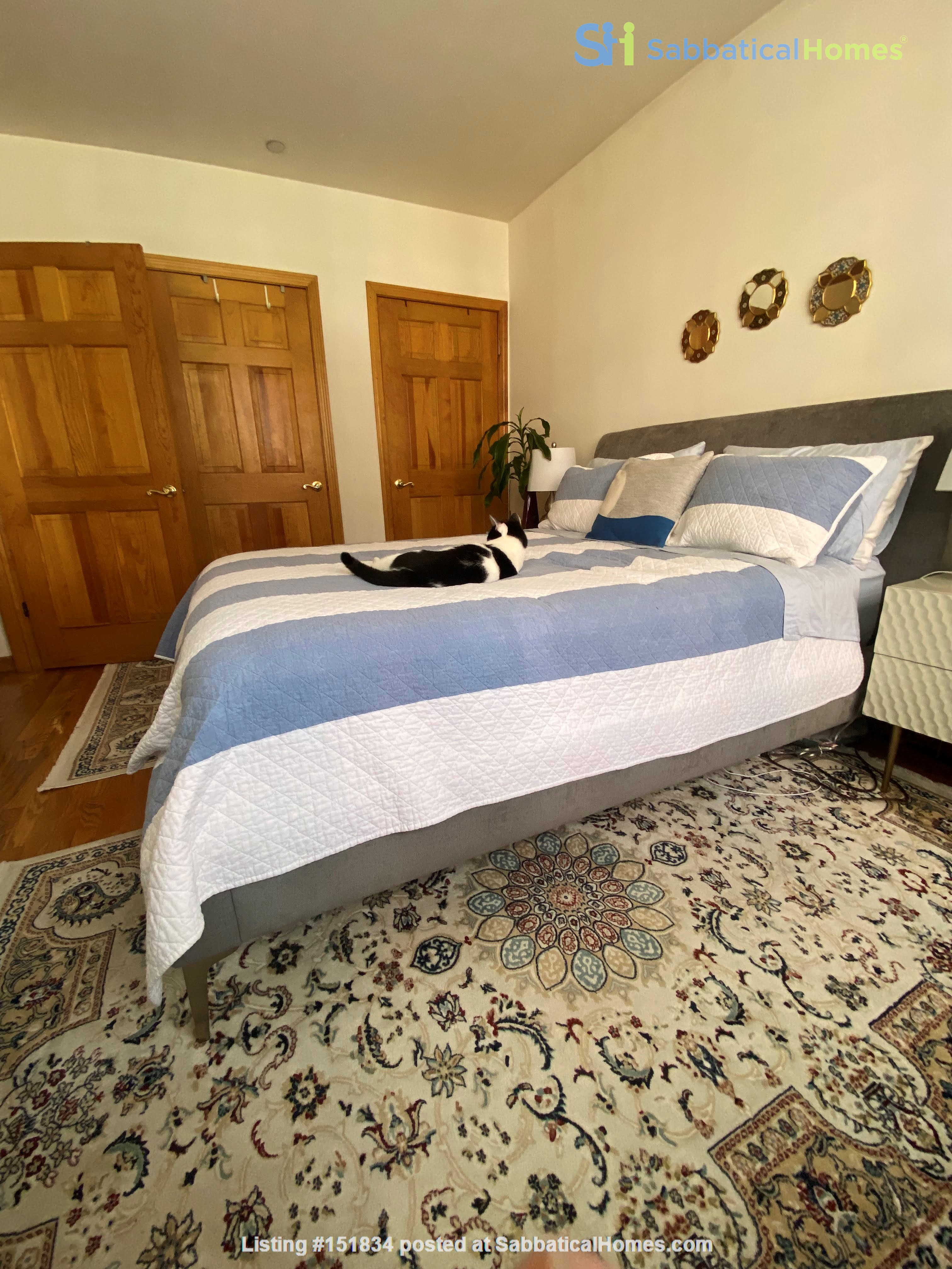 1 bedroom Apartment or Condo for rent in New York listing 151834