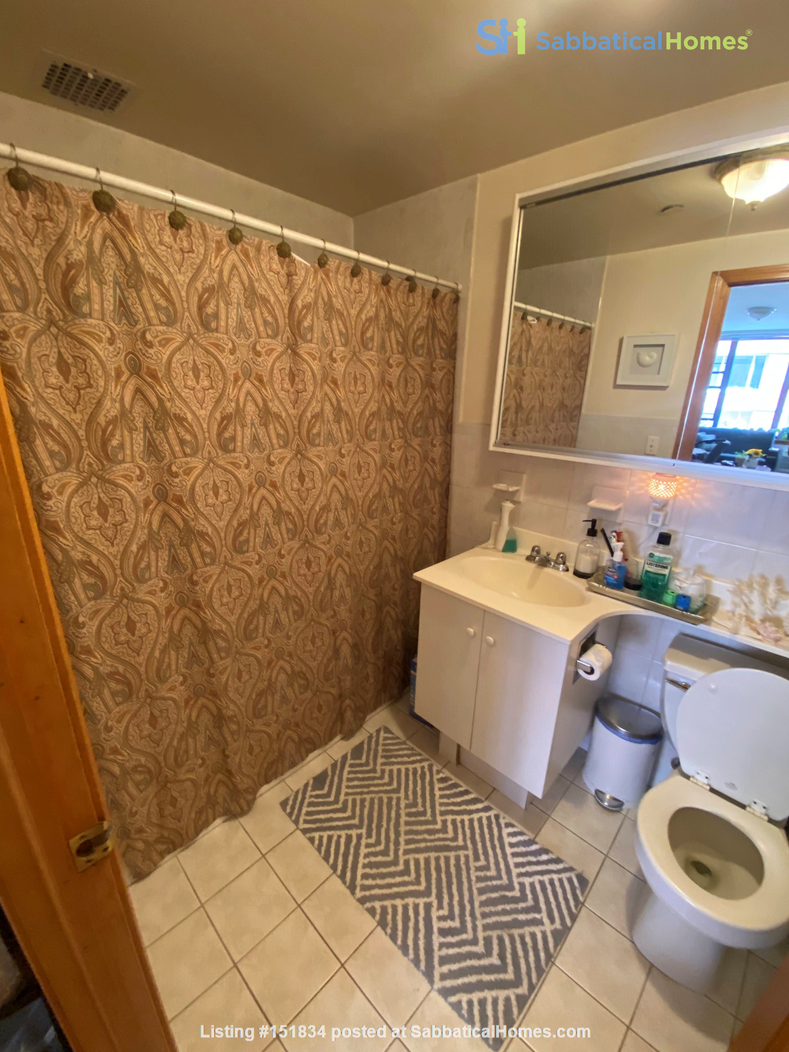 1 bedroom Apartment or Condo for rent in New York listing 151834