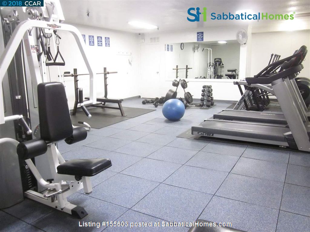 1 bedroom Apartment or Condo for rent in Albany listing 155603