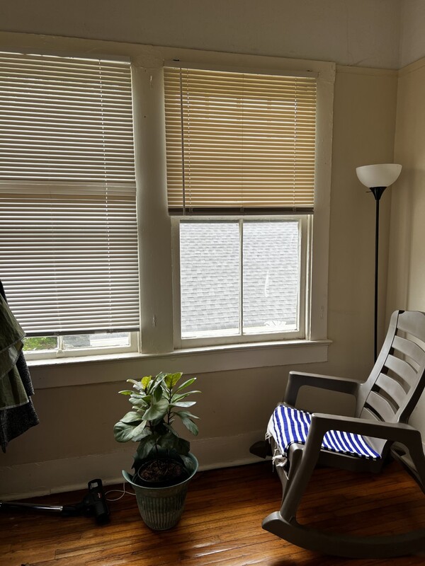 OffCampus Housing and Sublets near Tulane University