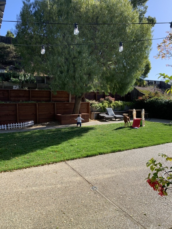 3 bedroom House for rent in San Carlos listing 157188