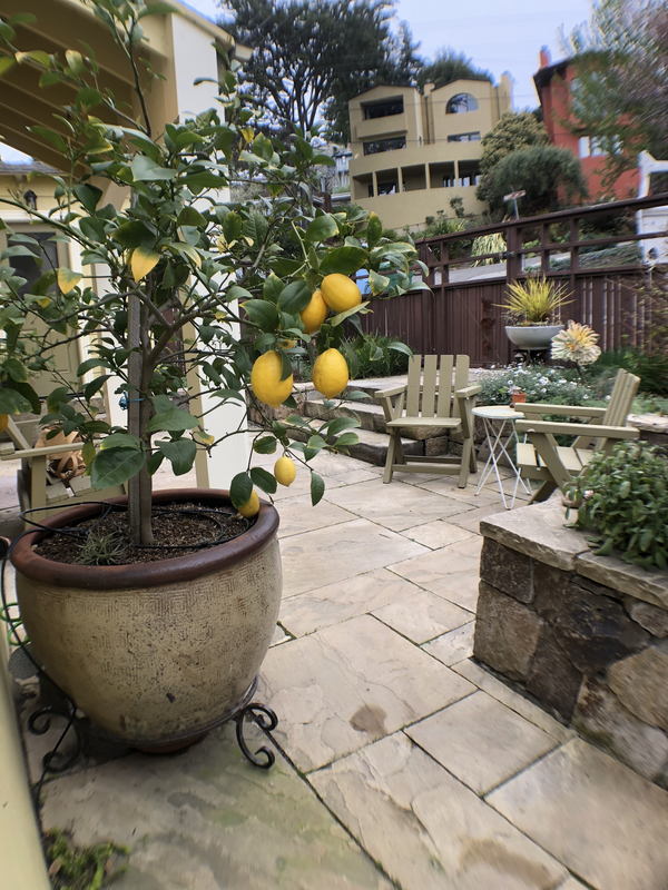 3 bedroom House for rent in Berkeley listing 157964