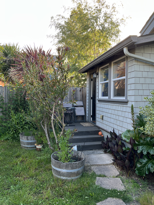 1 bedroom House for rent in Oakland listing 157967