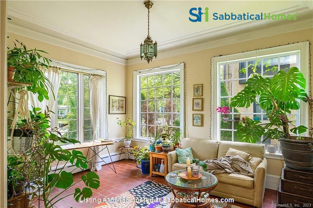 1 bedroom House for rent in New Haven listing 158188