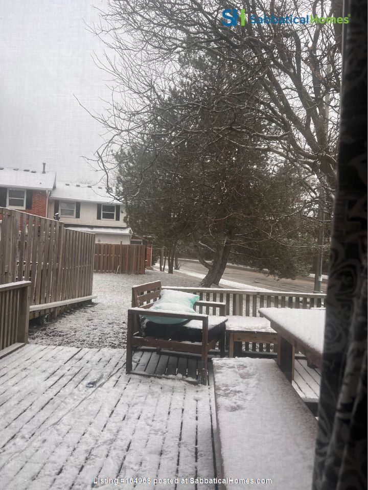 1 bedroom Apartment or Condo for rent in Waterloo listing 164968