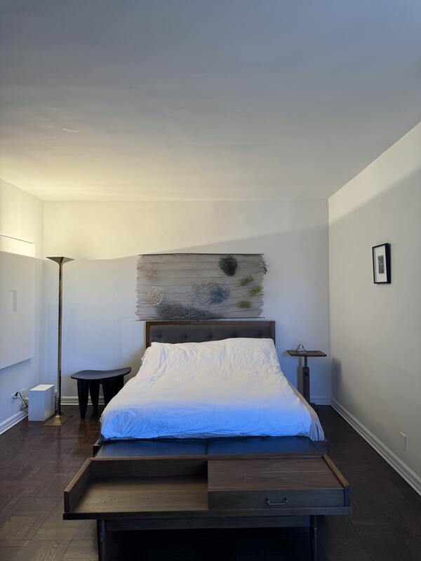 1 bedroom Apartment or Condo for rent in New York listing 165853